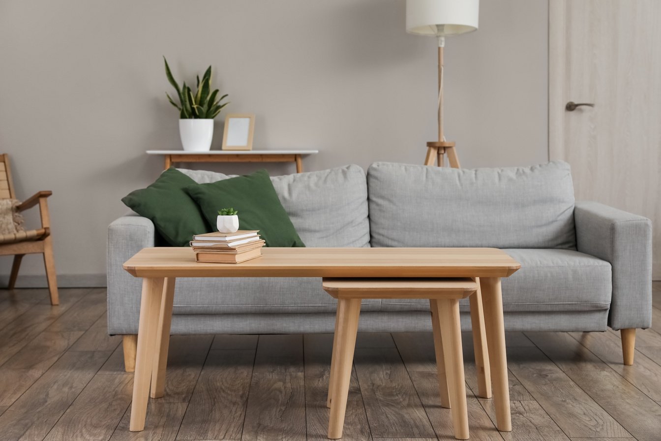 Modern Table with Books, Houseplant and Sofa in Interior of Room